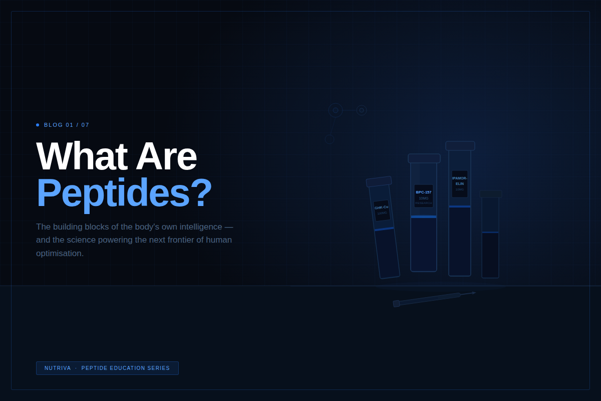 What Are Peptides? The Building Blocks of the Body's Own Intelligence